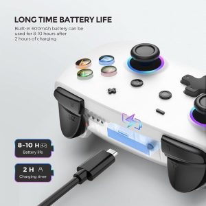 دسته بازی بی سیم PC و ECHTPower Switch Pro