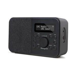 رادیو دیجیتال FM PR2S DAB+ برند MangoKit